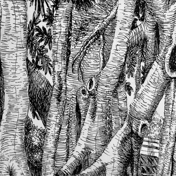 Louise du Pont Crowninshield "Octopus" banyan tree, Boca Grande, Florida - Picture 3 of 3